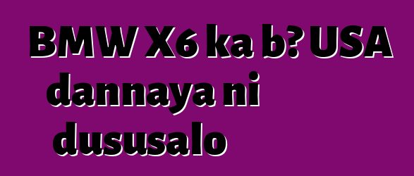 BMW X6 ka bɔ USA dannaya ni dususalo