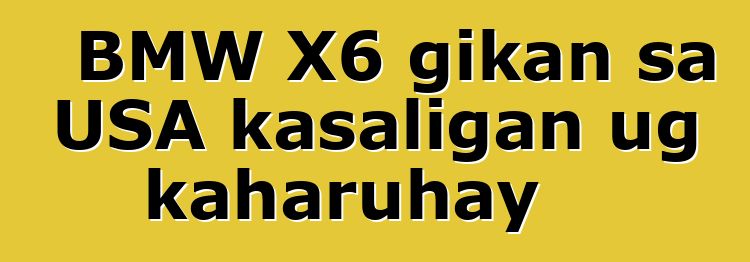 BMW X6 gikan sa USA kasaligan ug kaharuhay