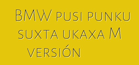 BMW pusi punku suxta ukaxa M versión