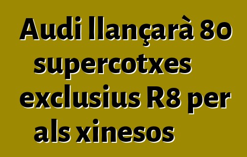 Audi llançarà 80 supercotxes exclusius R8 per als xinesos