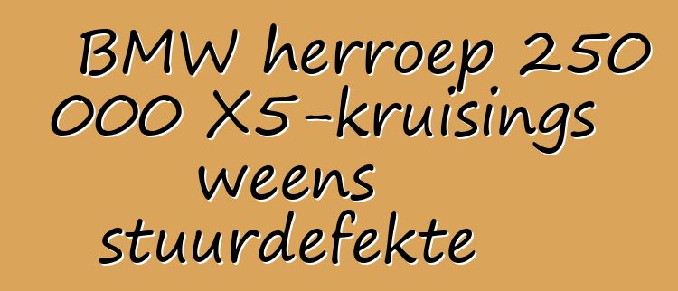BMW herroep 250 000 X5-kruisings weens stuurdefekte