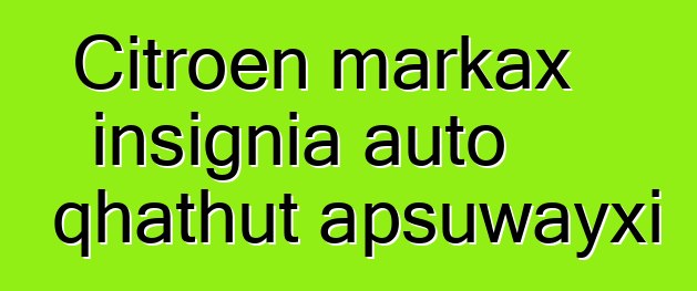 Citroen markax insignia auto qhathut apsuwayxi