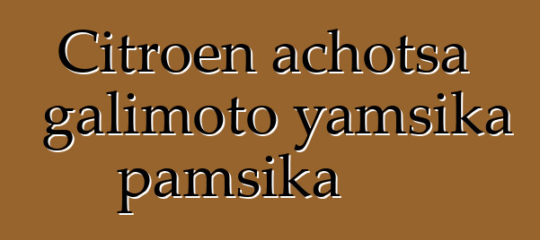 Citroen achotsa galimoto yamsika pamsika