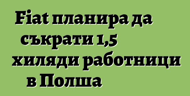 Fiat планира да съкрати 1,5 хиляди работници в Полша