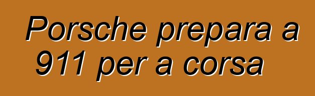 Porsche prepara a 911 per a corsa