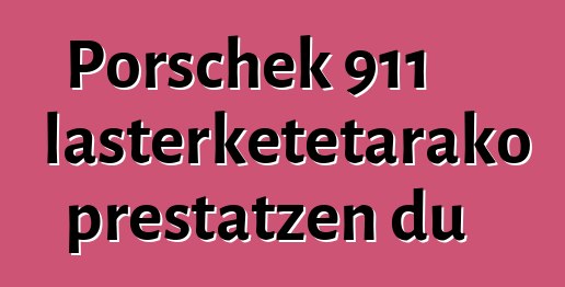Porschek 911 lasterketetarako prestatzen du