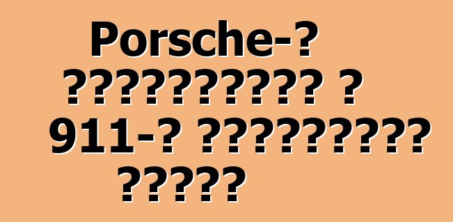 Porsche-ն պատրաստում է 911-ը մրցարշավի համար