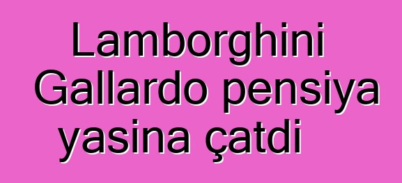 Lamborghini Gallardo pensiya yaşına çatdı