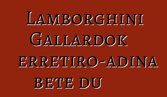 Lamborghini Gallardok erretiro-adina bete du
