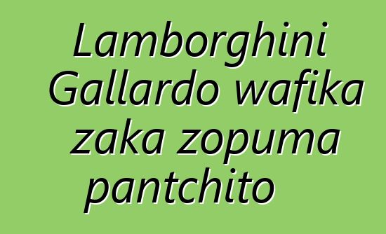 Lamborghini Gallardo wafika zaka zopuma pantchito