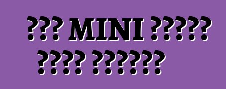 ትንሿ MINI መስቀለኛ መንገድ ተቀበለችው