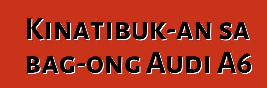 Kinatibuk-an sa bag-ong Audi A6