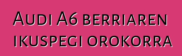 Audi A6 berriaren ikuspegi orokorra