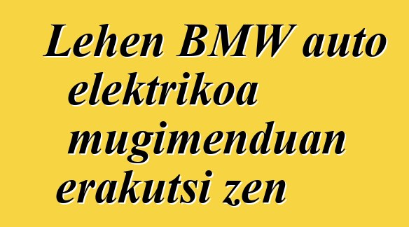 Lehen BMW auto elektrikoa mugimenduan erakutsi zen