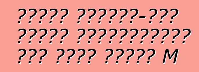 أنشأت مرسيدس-بنز سيارة باباموبوالة على أساس الفئة M