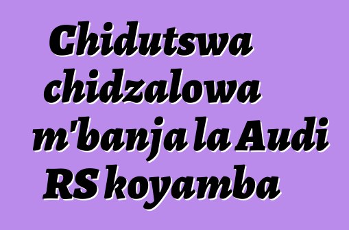 Chidutswa chidzalowa m'banja la Audi RS koyamba