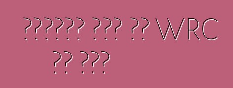 ቮልስዋገን ለፖሎ አር WRC ልዩ እትም