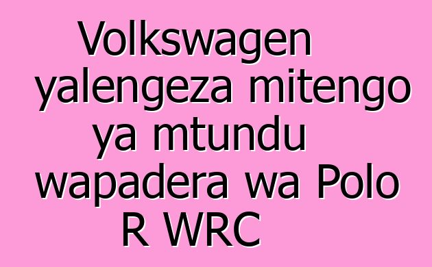 Volkswagen yalengeza mitengo ya mtundu wapadera wa Polo R WRC