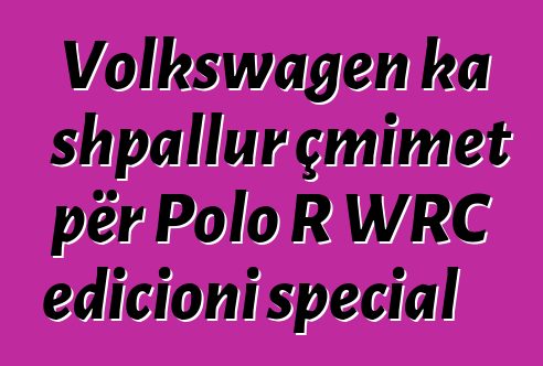 Volkswagen ka shpallur çmimet për Polo R WRC edicioni special