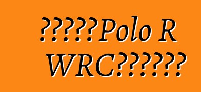 大众公布了Polo R WRC特别版的价格