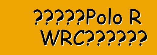 大眾公佈了Polo R WRC特別版的價格