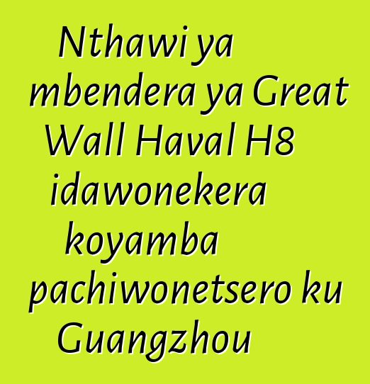 Nthawi ya mbendera ya Great Wall Haval H8 idawonekera koyamba pachiwonetsero ku Guangzhou
