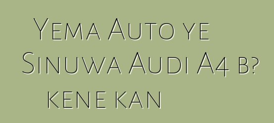 Yema Auto ye Sinuwa Audi A4 bɔ kɛnɛ kan