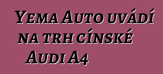 Yema Auto uvádí na trh čínské Audi A4