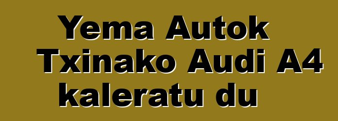 Yema Autok Txinako Audi A4 kaleratu du