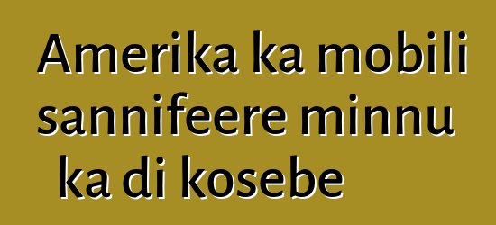 Amerika ka mobili sannifeere minnu ka di kosɛbɛ