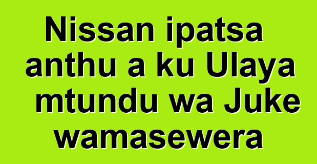 Nissan ipatsa anthu a ku Ulaya mtundu wa Juke wamasewera