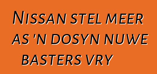 Nissan stel meer as 'n dosyn nuwe basters vry