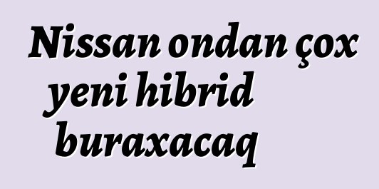 Nissan ondan çox yeni hibrid buraxacaq
