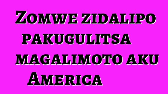 Zomwe zidalipo pakugulitsa magalimoto aku America