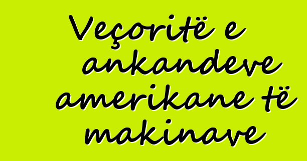 Veçoritë e ankandeve amerikane të makinave