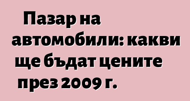 Пазар на автомобили: какви ще бъдат цените през 2009 г.