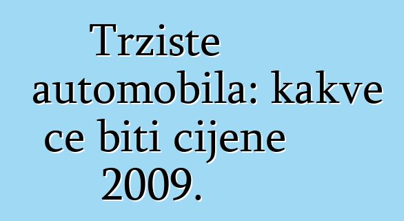 Tržište automobila: kakve će biti cijene 2009.