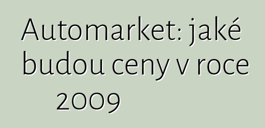 Automarket: jaké budou ceny v roce 2009