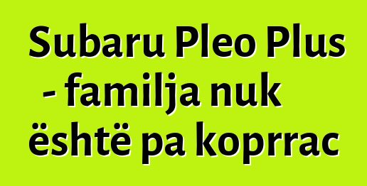 Subaru Pleo Plus - familja nuk është pa koprrac