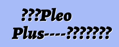 斯巴魯Pleo Plus——家裡不缺守財奴