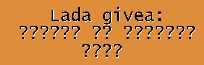 Lada givea: ግምገማዎች እና የተሽከርካሪ መግለጫ