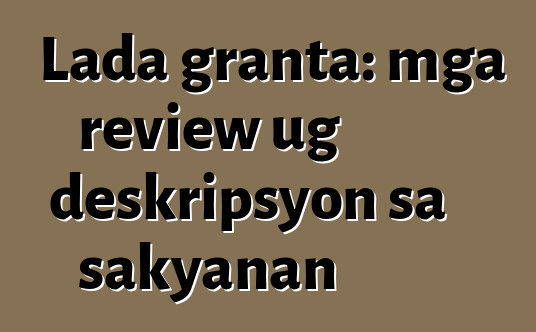 Lada granta: mga review ug deskripsyon sa sakyanan