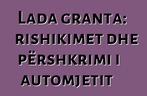 Lada granta: rishikimet dhe përshkrimi i automjetit