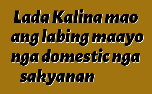 Lada Kalina mao ang labing maayo nga domestic nga sakyanan
