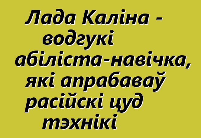 Лада Каліна - водгукі аўтамабіліста-навічка, які апрабаваў расійскі цуд тэхнікі