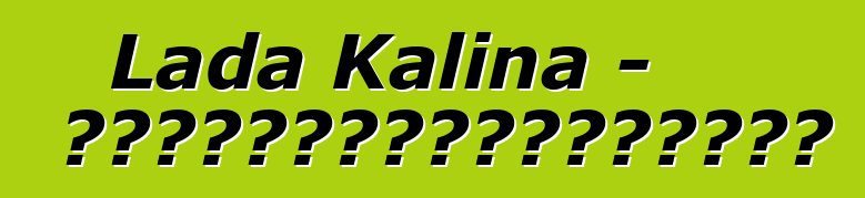 Lada Kalina - 一位尝试过俄罗斯技术奇迹的新手驾车者的评论