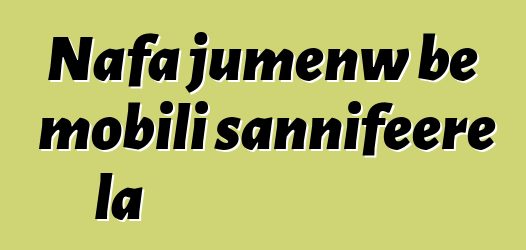 Nafa jumɛnw bɛ mobili sannifeere la