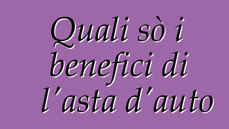 Quali sò i benefici di l'asta d'auto