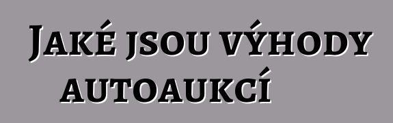 Jaké jsou výhody autoaukcí