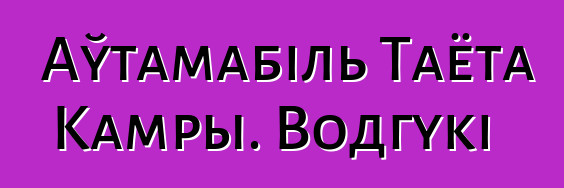 Аўтамабіль Таёта Камры. Водгукі